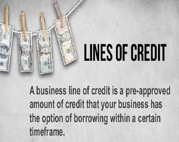 BUSINESS LINE OF CREDIT